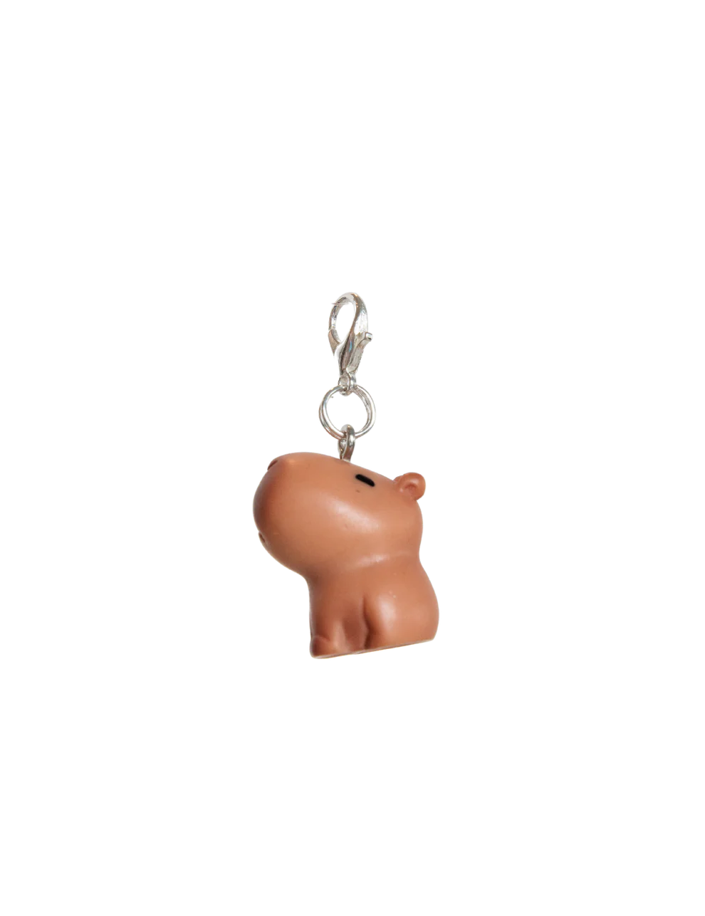 Capybara charm