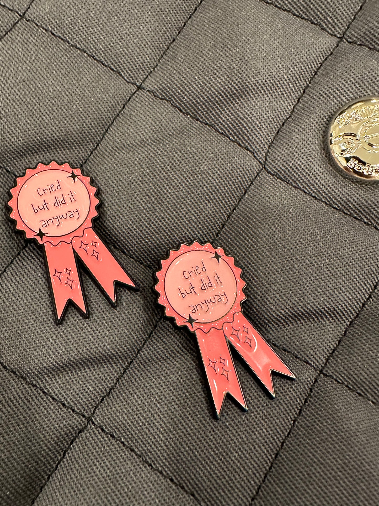 Cried but did it anyway - Pins