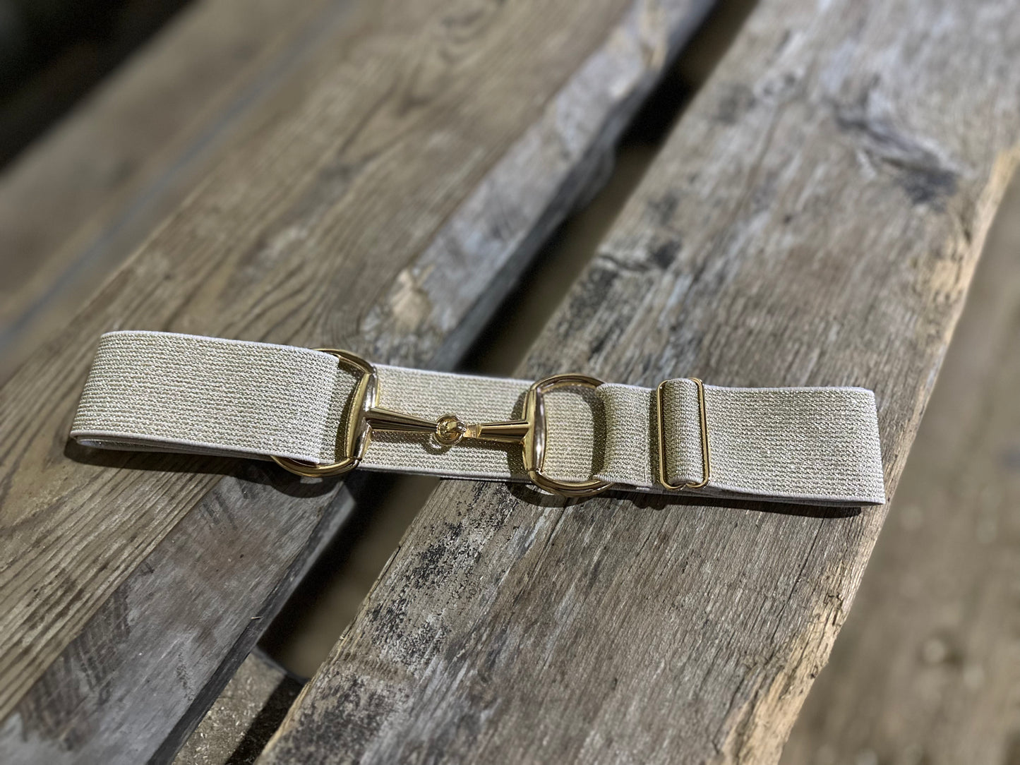 Sparkle Me Gold Belt