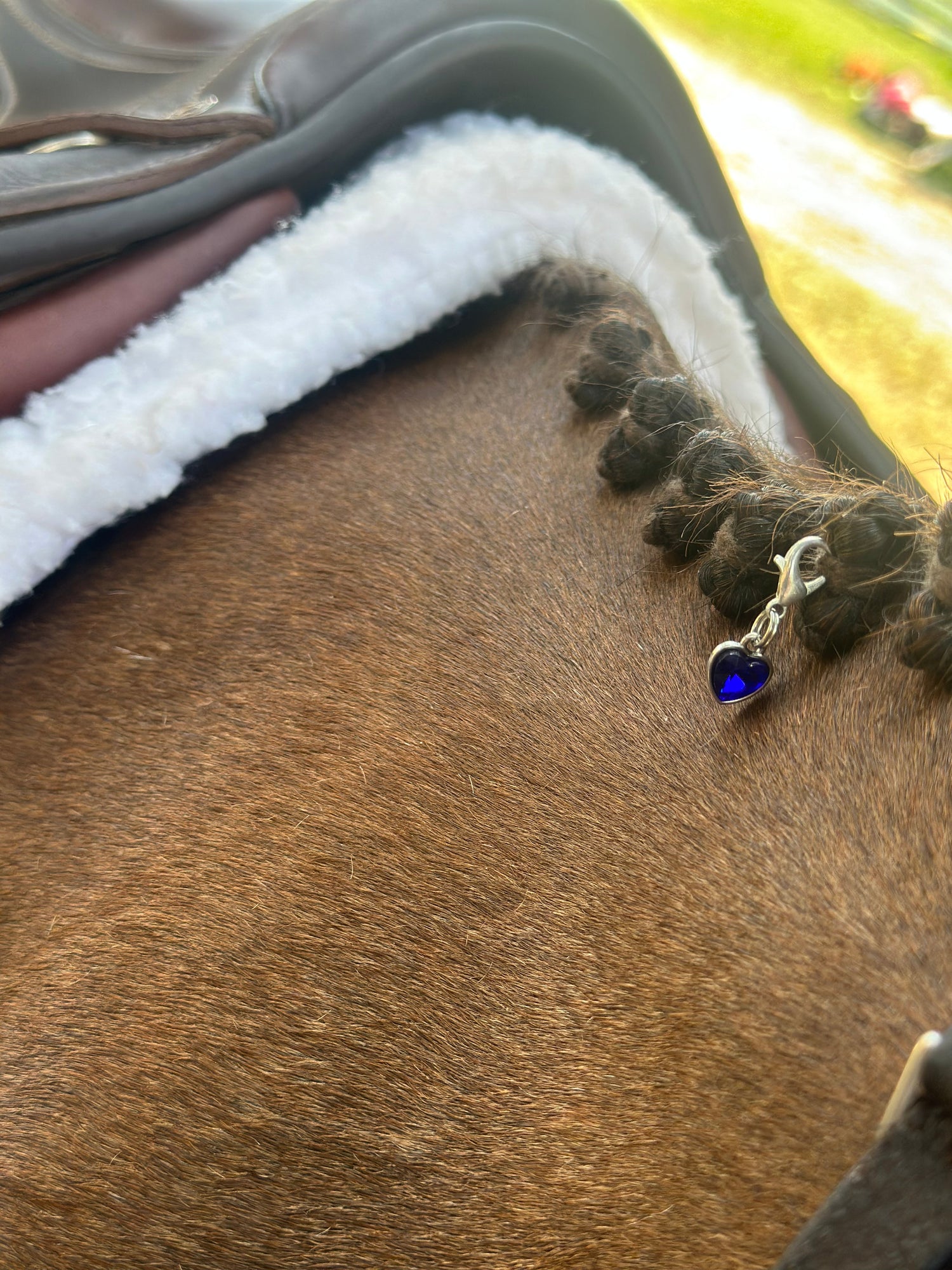 Luxy Charms