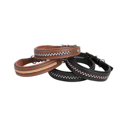 Signature by Antares Dog Collar