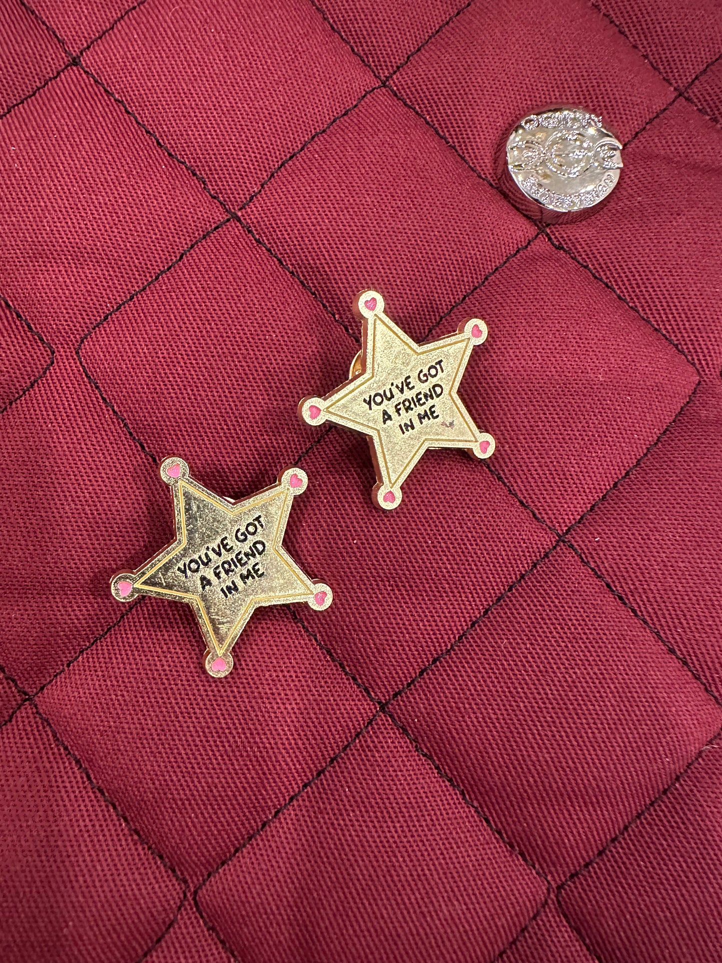 You've Got a Friend in Me  - Pins