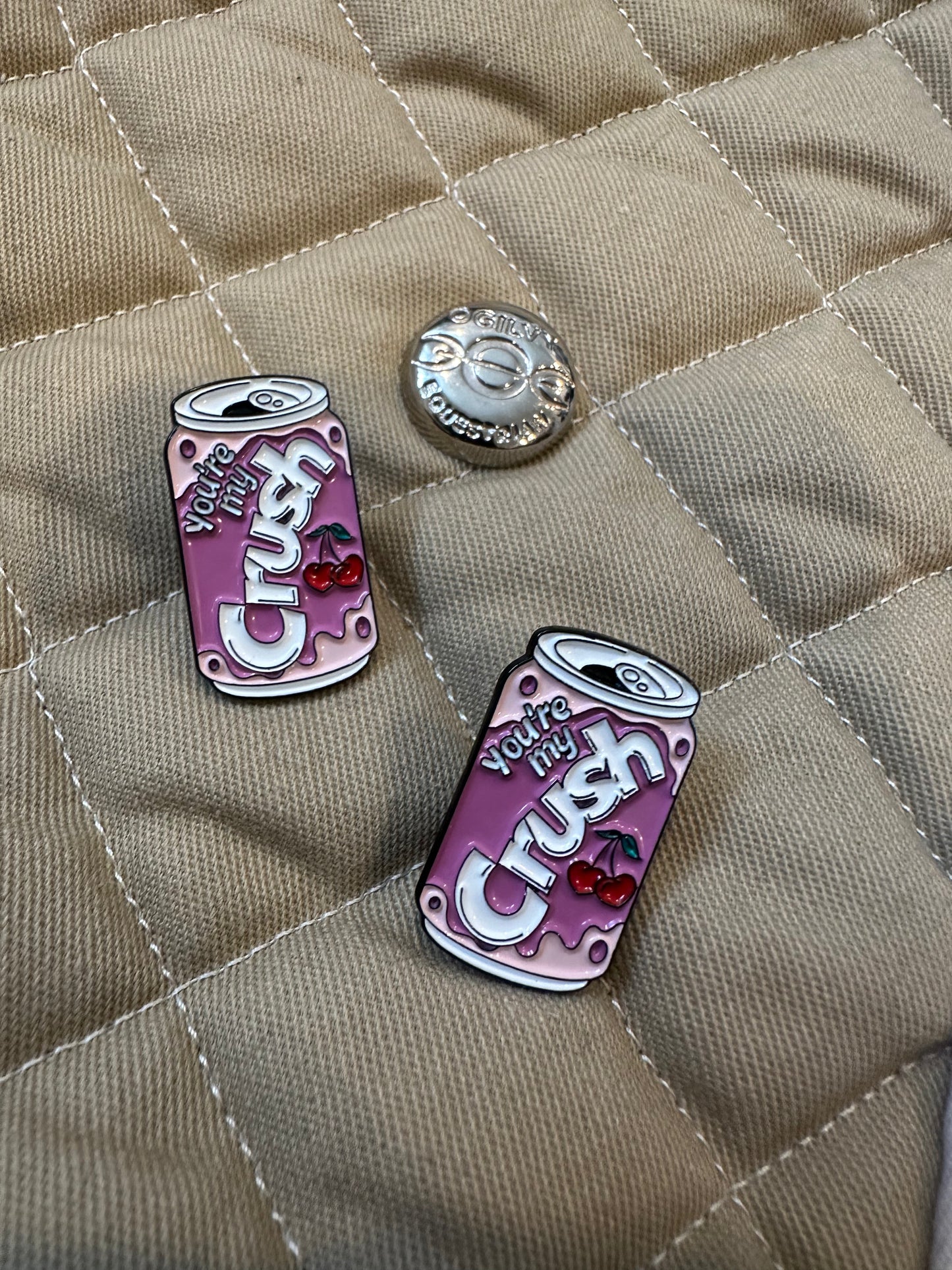 You're My Crush- Pins