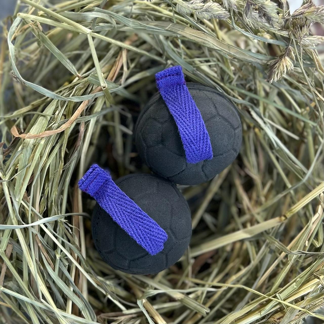 Ear plugs - Purple