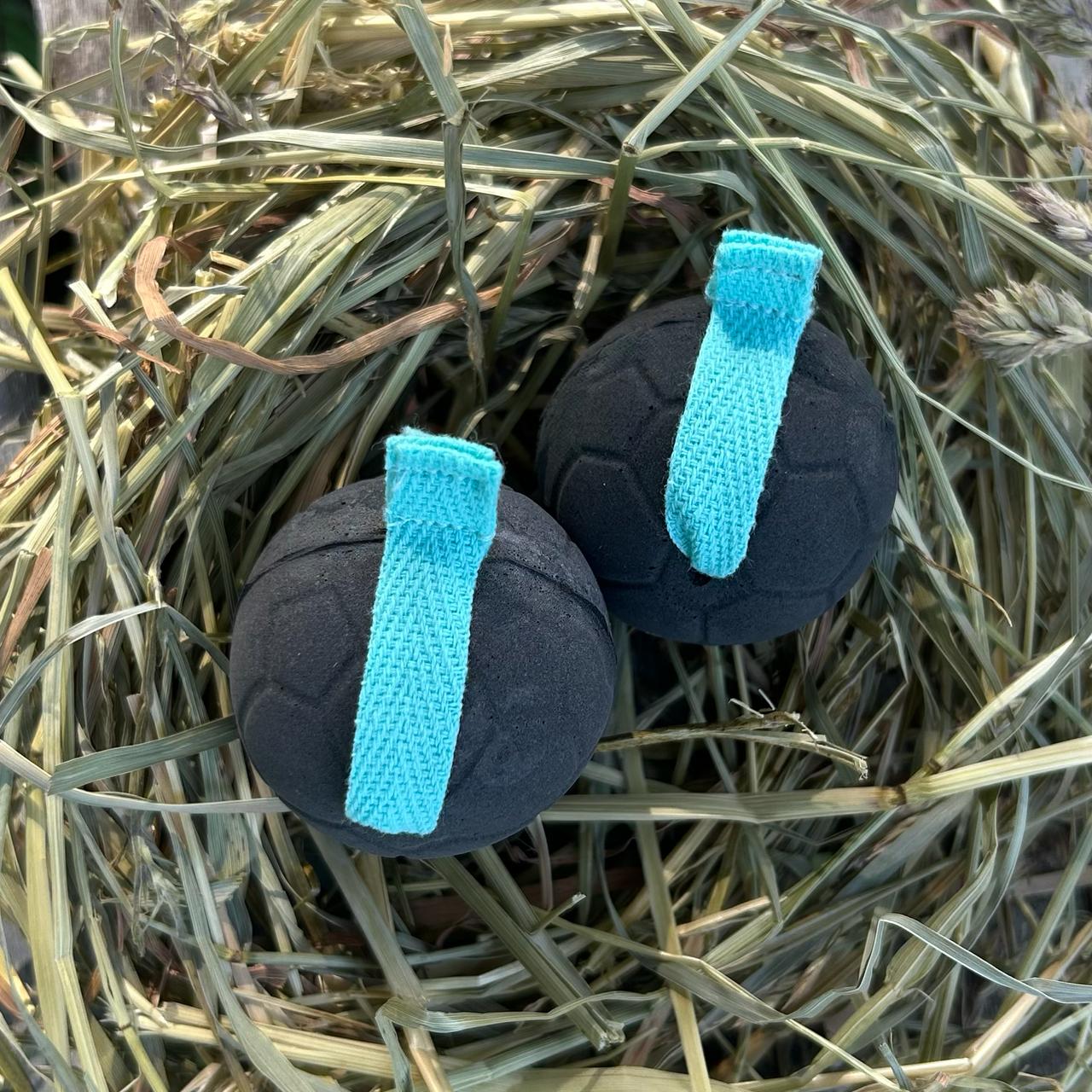 Ear plugs - Teal